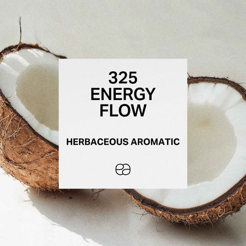 325 Energy Flow