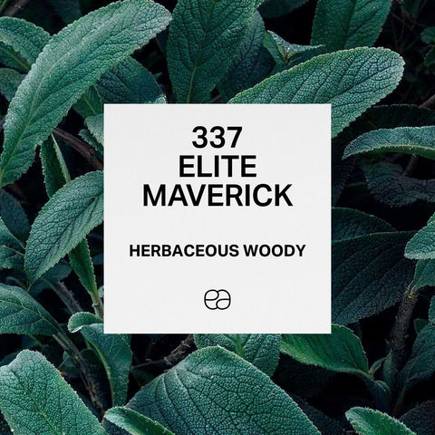 337 Elite Maverick