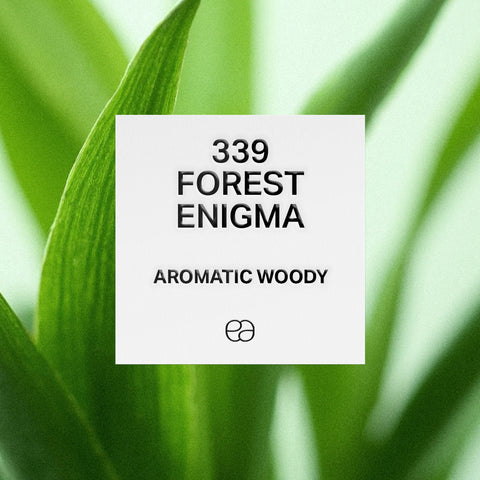 339 Forest Enigma